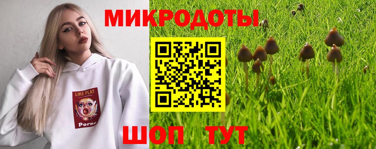 Бийск  Галлюциногенные грибы Cubensis  Вход с VPN 